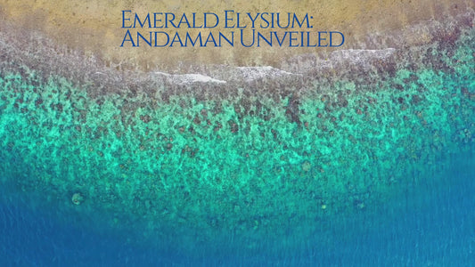 1 - 7 March 2024 | Emerald Elysium: Andaman Unveiled | 1 Adult
